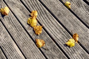 Feuilles mortes jaunes sur une terrasse en bois