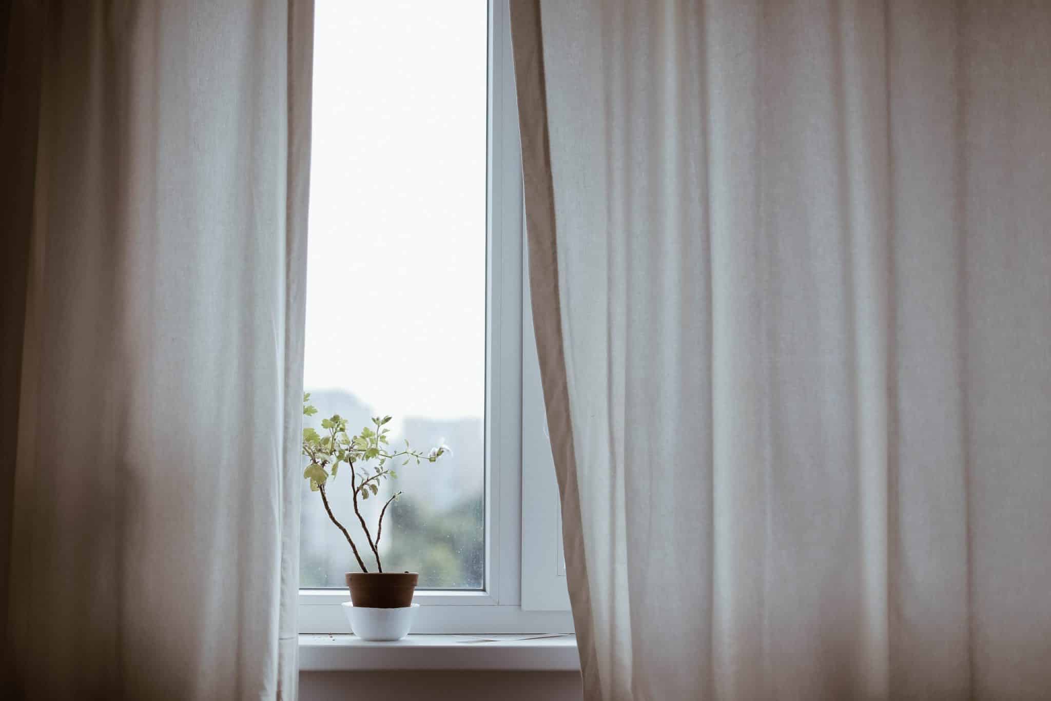 Rideaux blancs et pot de fleur